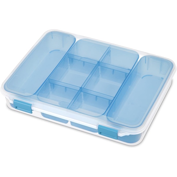 STERILITE 14028606 LARGE DIVIDED CASE-CLEAR