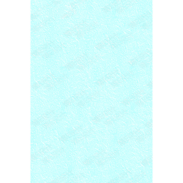 WANDTP2123B 20X30CM WALL TILE P2123B