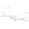 WANDTHDCARRARA 32X57CM WALL TILE #HD CARRARA