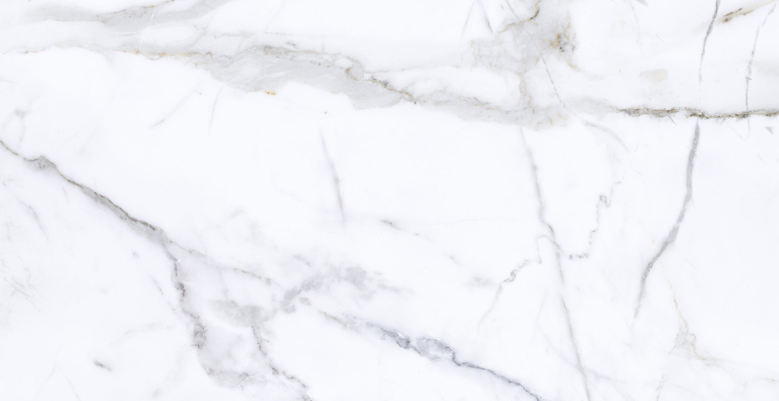 WANDTC.GOLDBRP WALL TILE 31X60CM #CALACATA GOLD BRILHO