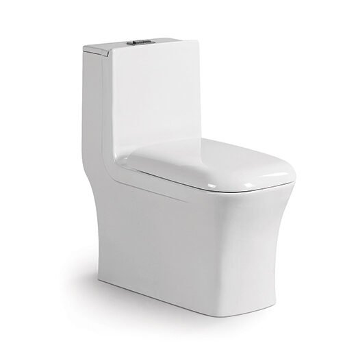 A-111 WASHDOWN ONE PIECE TOILET,S TRAP 250MM, WITH PP SEAT COVER 720*380*760